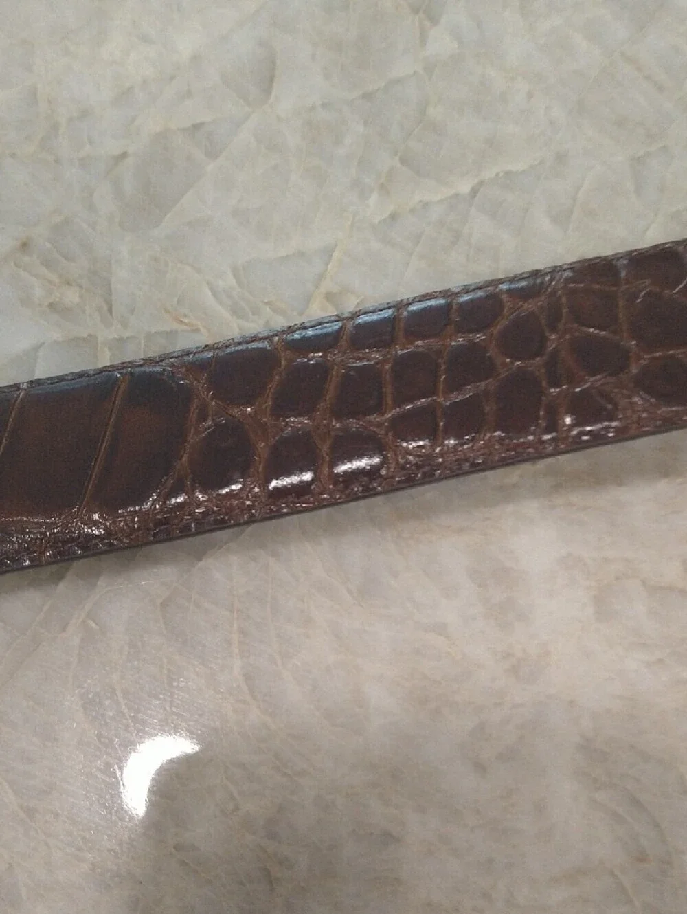 Brown Croc-Embossed Leather Belt with Gold Buckle